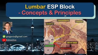 Lumbar ESP Block  Concepts amp Principles 2024 [upl. by Chong]