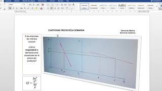 Elasticidad precio de la demanda [upl. by Ahsik238]