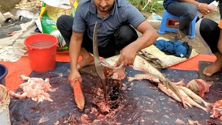 Amazing Giant Small Wallago Attu Catfish Cutting Skills By Expert  Fish Cutting Skills [upl. by Razec]