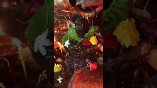 lordshiva blessed pravati abhishekam infinity [upl. by Sandberg]