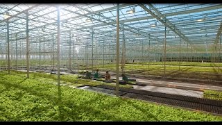 Agro Invests success story  Russia English subtitles [upl. by Phillipe]