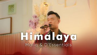 Himalaya  Maliq amp DEssentials  Live Cover NWS Musik [upl. by Esilahc188]