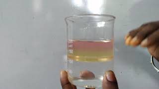 Science  Grade 9  Comparing the densities of several liquids  Density [upl. by Aun]