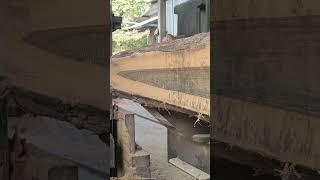 Teak wood Sawmill jatiindia thailand [upl. by Enra]