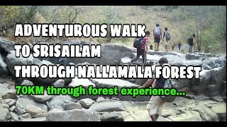 WALK THOUGH NALLAMALA FOREST TO SRISAILAM [upl. by Vescuso]