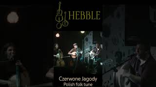 Czerwone Jagody  Hebble Polish folk tune folkmusic polishmusic cello bodhran bouzouki [upl. by Barnaby]