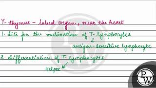 Given below is a diagrammatic representation of immune system of the human body \n\nampnbsp [upl. by Nitsrek936]