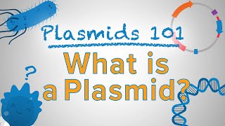 What is a Plasmid  Plasmids 101 [upl. by Harmony]