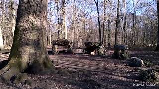 Dolmens en foret de Meudon Yvelines [upl. by Zena]