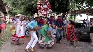 Join the Festivities in Brazils Pantanal [upl. by Nnaeirelav]