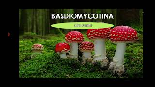 BASIDIOMYCOTINA CLUB FUNGIBSc Botany MSc Botany Malayalam [upl. by Avery]