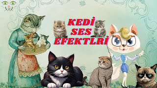 Kedi Sesleri Kedi Miyavlaması Efekti [upl. by Taran]