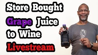 Making Store Bought Grape Juice Wine 1 Gallon [upl. by Gerty]