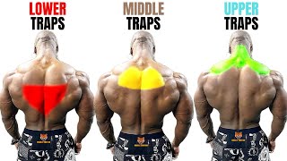 TOP 15 TRAPS WORKOUT AT GYM  LES MEILLEURS EXERCISES MUSCULATION TRAPÈZES [upl. by Eckhardt730]