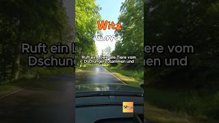 WITZ DES TAGES  Ruft ein Löwe alle Tiere  🤣Lustig Witzig witze lustig shorts reels [upl. by Aneelehs]