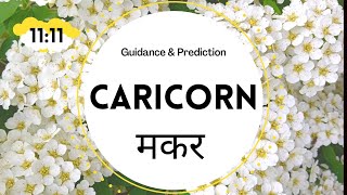 Capricorn  मकर 🌸February ✨Overall Life Prediction ✨ Blessings  Blockages  Guidance 🦋 [upl. by Kotick]