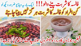 Falsa Fruit Benefits  Falsa Juice RecipeFacts about Grewia fruit SZ official [upl. by Pansir]