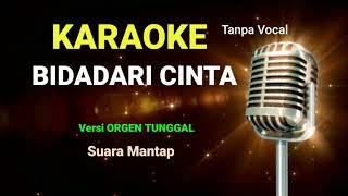 BIDADARI CINTA  KARAOKE  VERSI ORGEN TUNGGAL FULL LIRIK [upl. by Nayk]