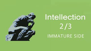 Intellection 2\3  Gallup Strengthsfinder [upl. by Islek482]