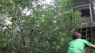 Tree climber falls from broken tree nearly killed [upl. by Xylina]