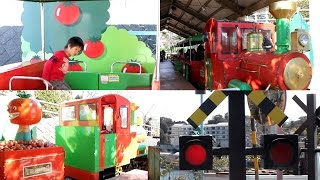 浜名湖パルパル豆汽車・踏切・鉄橋  mini Locomotive in Lake Hamana [upl. by Emia]