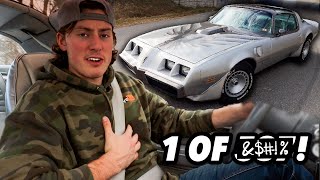 Why this RARE 1979 Trans Am is so special  1979 Trans Am 10th Anniversary Edition  DriveHub [upl. by Three]