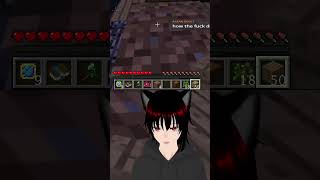 This is the BEST MOD in Minecraft [upl. by Klute]