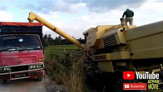 New Holland Clayson 8060 Cabin Combine Harvester at Pokok Tampang [upl. by Feltie]