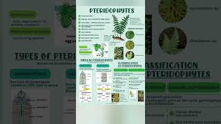 Plant kingdom pteridophytes class 11 biology revision notes Neet UG neet cbse icseboard reels [upl. by Octave]