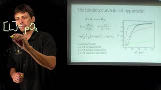 Topic 613  Hemoglobin and the Hill plot [upl. by Eirrac206]