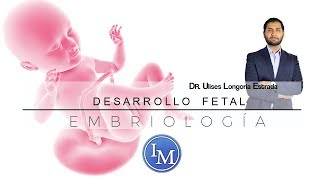 Embriología  Desarrollo Fetal  Resumen [upl. by Chip]