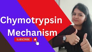 Chymotrypsin Mechanism🔥 ll Catalytic triad csirnet gatelifesciences [upl. by Toinette165]
