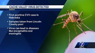 Nebraska Department of Health and Human Services has detected Cache Valley Virus in Lincoln Coun [upl. by Hynda310]