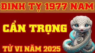 🔴 Tử Vi Tuổi Đinh Tỵ 1977 Nam Mạng Năm 2025 🌸🌸 Biết Trước Số Mệnh Để Giữ Được Tài Lộc [upl. by Arianna132]