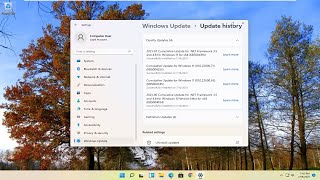 So beheben Sie das Problem „Der Helligkeitsregler fehlt“ in Windows 11 [upl. by Eicnan]