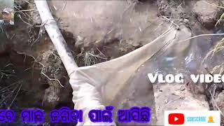 ମୁଁ ଏବେ ମାଛ ଜଗିବା ପାଇଁ ଆସିଛି vlog star Urlar youtubes video [upl. by Cronin]