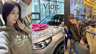 SUB ’첫 차 뽑고 소래포구가서 대하 먹는 일상 vlog  My first new car  홍보각  한방통닭  뽀서네랑 소래포구 [upl. by Crandell]