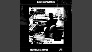 Morphic Resonance Live session 2023 Live [upl. by Curnin579]