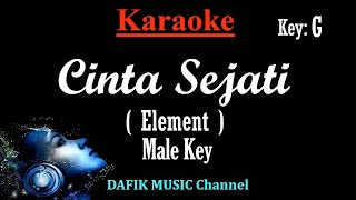 Cinta Sejati Karaoke Element Nada Pria Cowok Male Key G [upl. by Anitsrik]