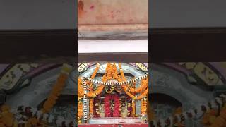 Ham haluwa Puri batenge 🙏 devkali ayodhya rammandir [upl. by Bondy60]