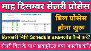 December Month Salary Process  Download Hitkari Nidhi Cooperative Schedule Report  Hitkari Nidhi [upl. by Anaitsirk148]