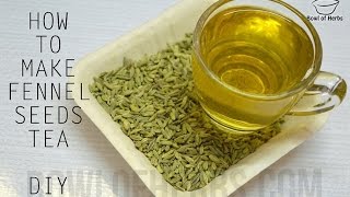 How To Make Fennel Seeds Tea  Tutorial [upl. by Aldridge954]