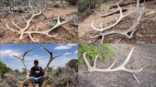 Shed Hunting  Big Elk Sheds [upl. by Marchal]