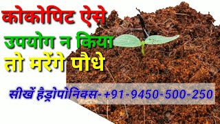 ऐसे करें कोकोपिट इस्तेमाल Use Cocopeat by this way [upl. by Attem]