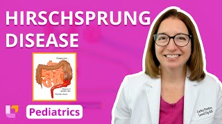 Hirschsprung Disease Alterations in Health  Gastrointestinal Pediatric Nursing  LevelUpRN [upl. by Murphy]