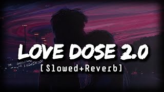 Love Dose 20  Slowed Reverb  Yo Yo Honey Singh  Urvashi Rautela  worldoflofi03 [upl. by Godiva]