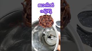 How to clean maxi jar  മിക്സി ജാർ ക്ലീനാക്കുന്നതെങ്ങനെ  Excel Electricals [upl. by Akinert]