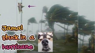 Jamal got stuck in a hurricane meme [upl. by Noiztneb]