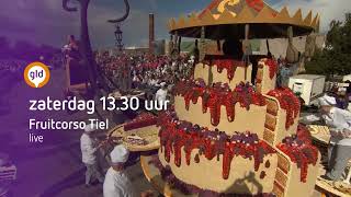 Fruitcorso Tiel 16 sept live op TV Gelderland [upl. by Dnamra]