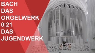 Musik an der Uni Leipzig Bach  das Orgelwerk 021 Das Jugendwerk Daniel Beilschmidt im Paulinum [upl. by Nahtnamas]